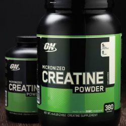 CREATINE POWDER  Optimum Nutrition