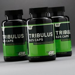 Tribulus, 625 mg, 100 Capsules  Optimum Nutrition