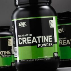 CREATINE POWDER  Optimum Nutrition